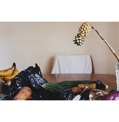 En "New L. A. Still Life", Wolfgang Tillmans se inspira en la naturaleza muerta del Barroco español para crear una "vanitas contemporánea". En ella, una serie de objetos que poco antes fueron deseados y bellos son captados en el instante de su decadencia