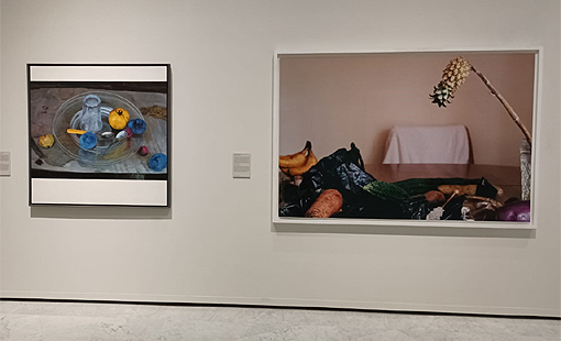 Imagen de la exposición "Flores y frutos"