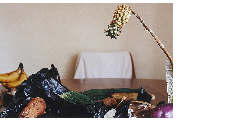 Wolfgang Tillmans: New L. A. Still Life (2001)
