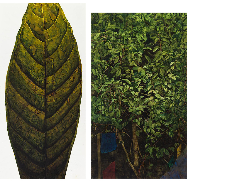 Federico Guzmán: Theobroma cacao&nbsp; (2000) y Yagé (2000). Colección Banco de España