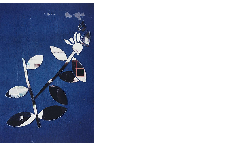 Federico Guzmán: Sin título (2001). Colección Banco de España