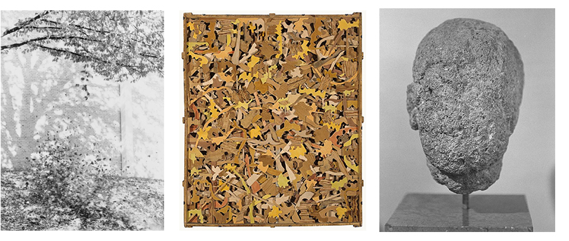 Jochen Lempert: Zur Photosynthese (2009) | Alfredo Alcaín: Comienzo del otoño en el bosque (1989) | Jorge Ribalta: Petit Grand Tour (Serie) (2007-2008)