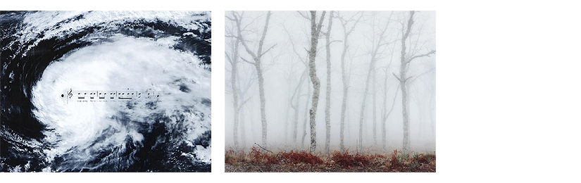 Joana Pimentel: From serie 17 proposition P6 (2007) | Axel Hütte: Yuste II (Niebla) (2002)
