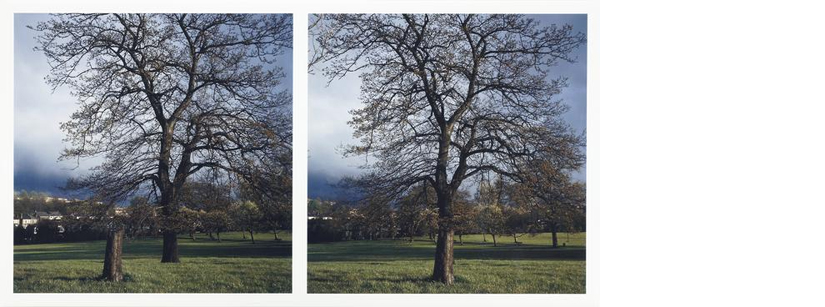 Mireya Masó: Washing Away Time (2001)