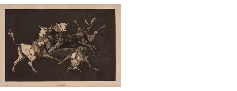 Francisco de Goya: Disparate de toritos / Lluvia de toros (serie Disparates, 1815-1824)
