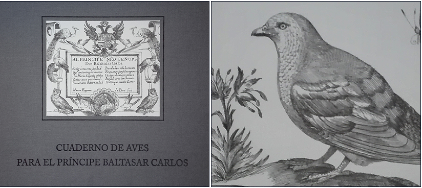 Portada y una de las láminas de la edición especial que realizó el Banco de España en 2010 del Cuaderno de aves para el príncipe Baltasar Carlos