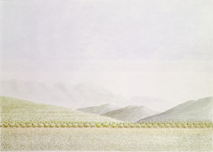 Paysage du Priorat