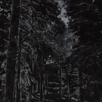 Bosque secreto [Secret Forest]