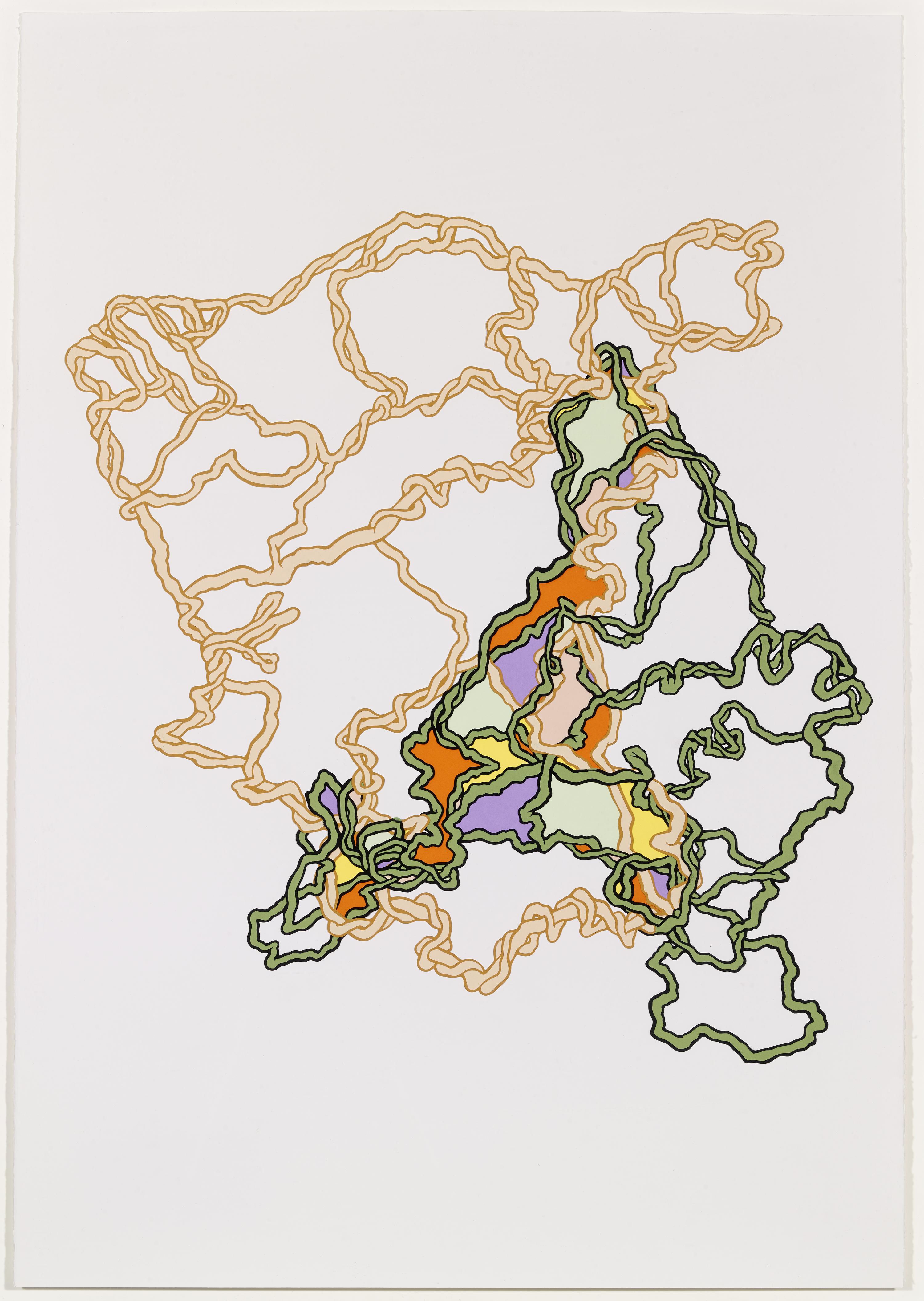 Enredos Indo-Brasileño [Indo-Brazilian Entanglements]