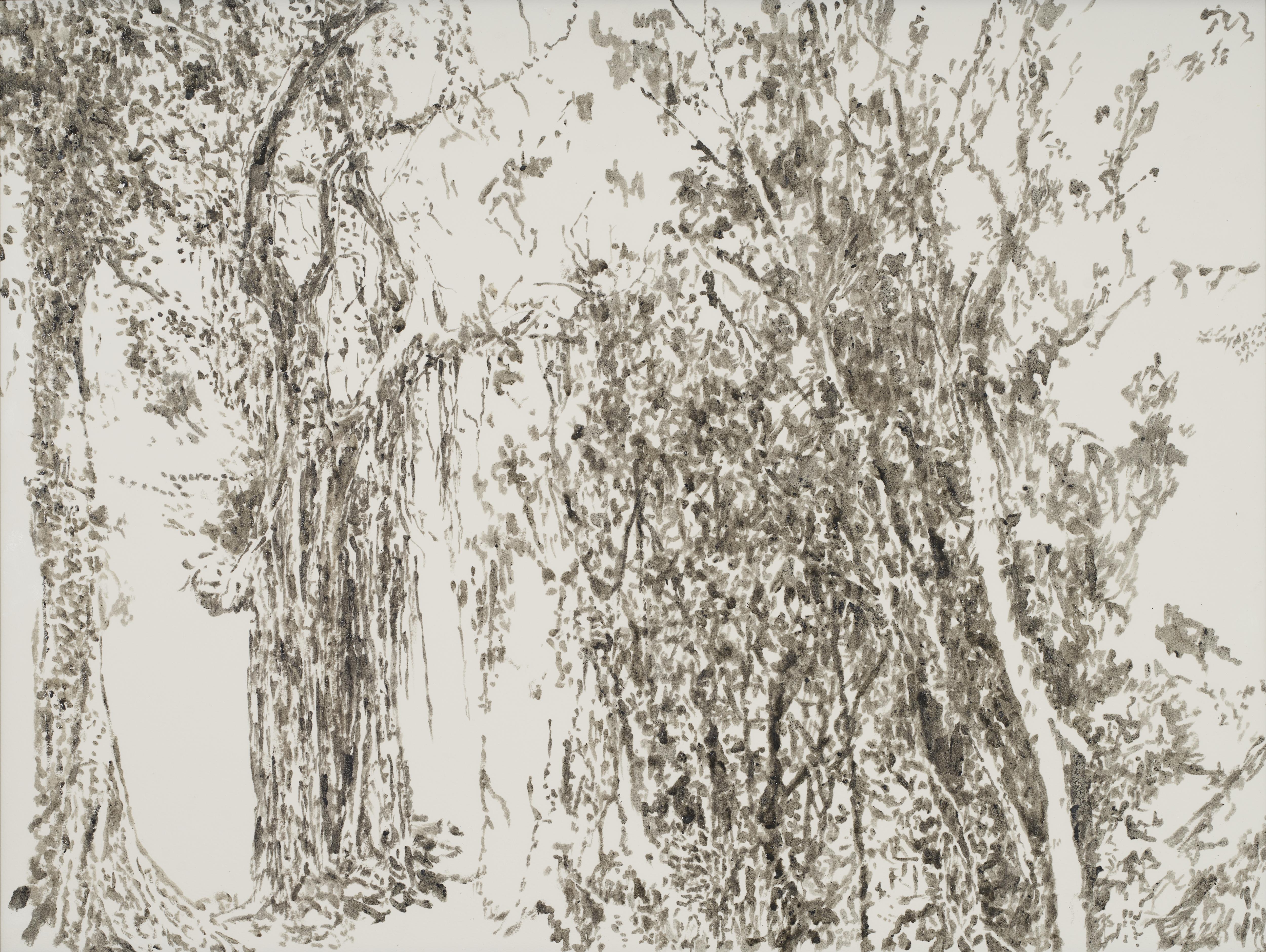 Sin título (Paisajes selva yucateca en peligro de extinción)