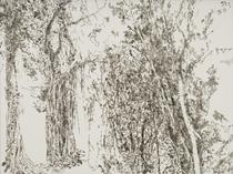 Sin título (Paisajes selva yucateca en peligro de extinción)