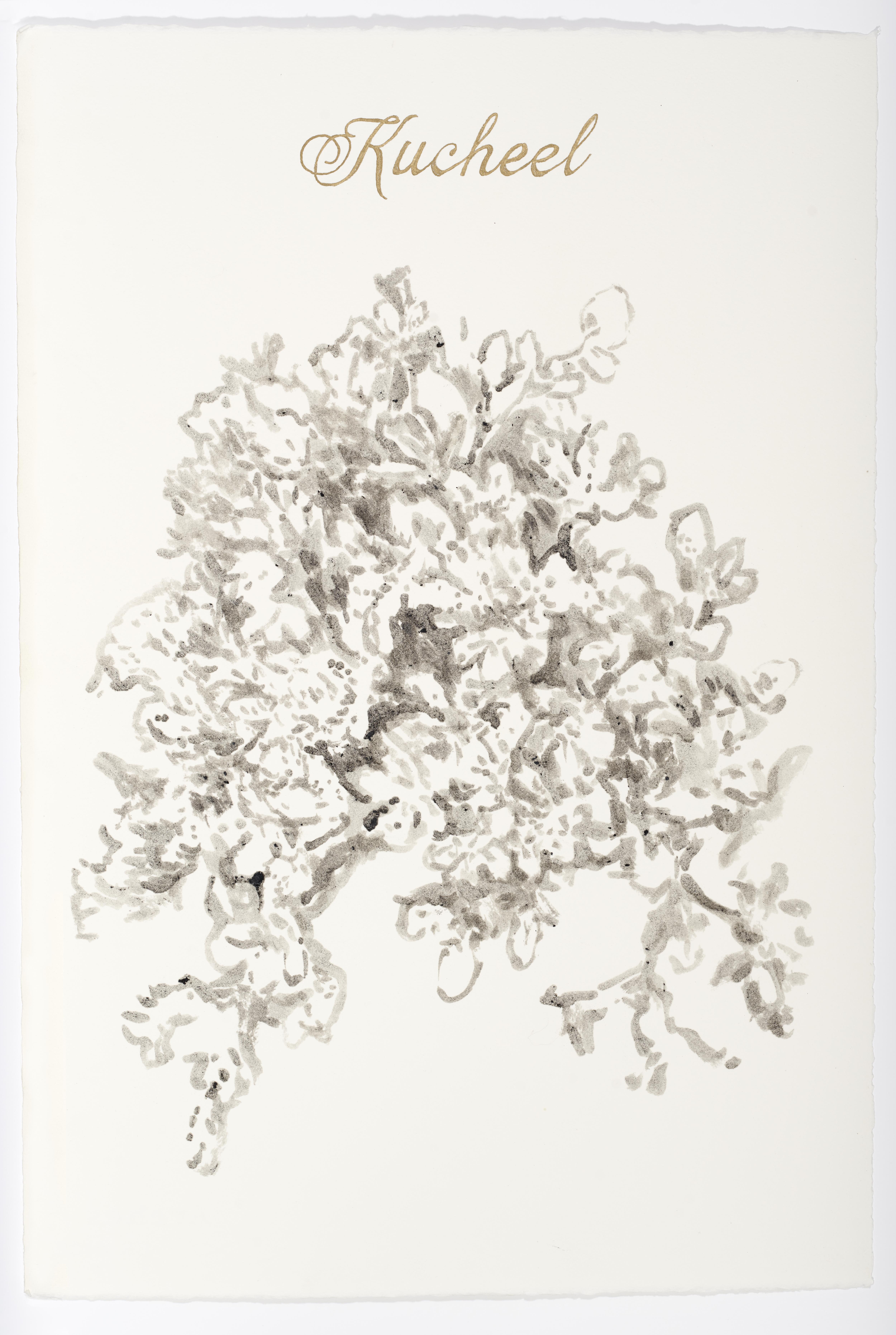 Sin título (Plantas selva yucateca en peligro de extinción) [Untitled (Yucatán Jungle Plants)]