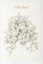 Sin título (Plantas selva yucateca en peligro de extinción) [Untitled (Yucatán Jungle Plants)]