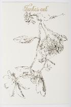 Sin título (Plantas selva yucateca en peligro de extinción)