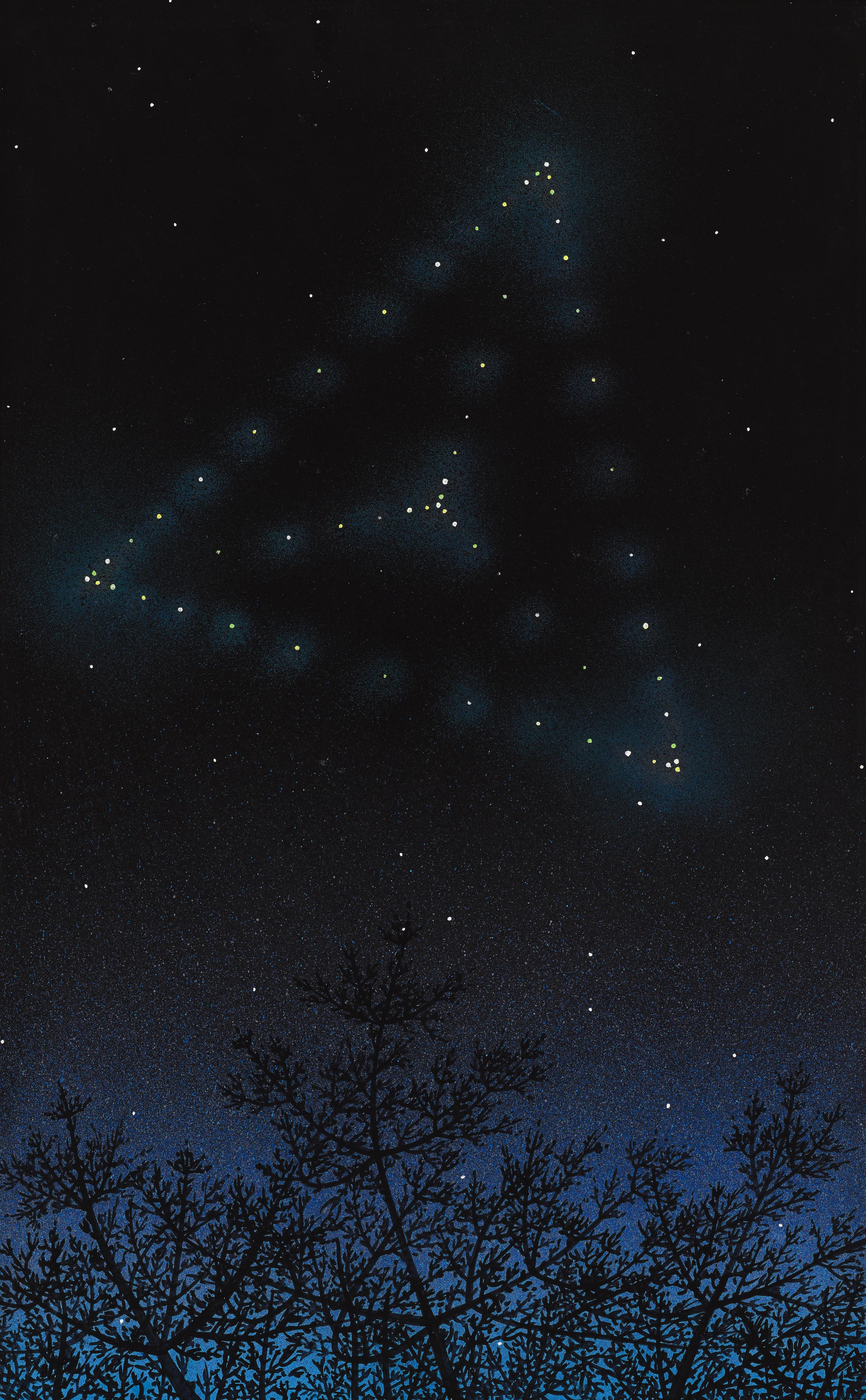 ПРОЕКТЫ РЕКОНСТРУКЦИИ ЗВЕЗДНОГО НЕБА [Proyectos de reconstrucción del cielo estrellado] [Projects for the Reconstruction of the Starry Sky]