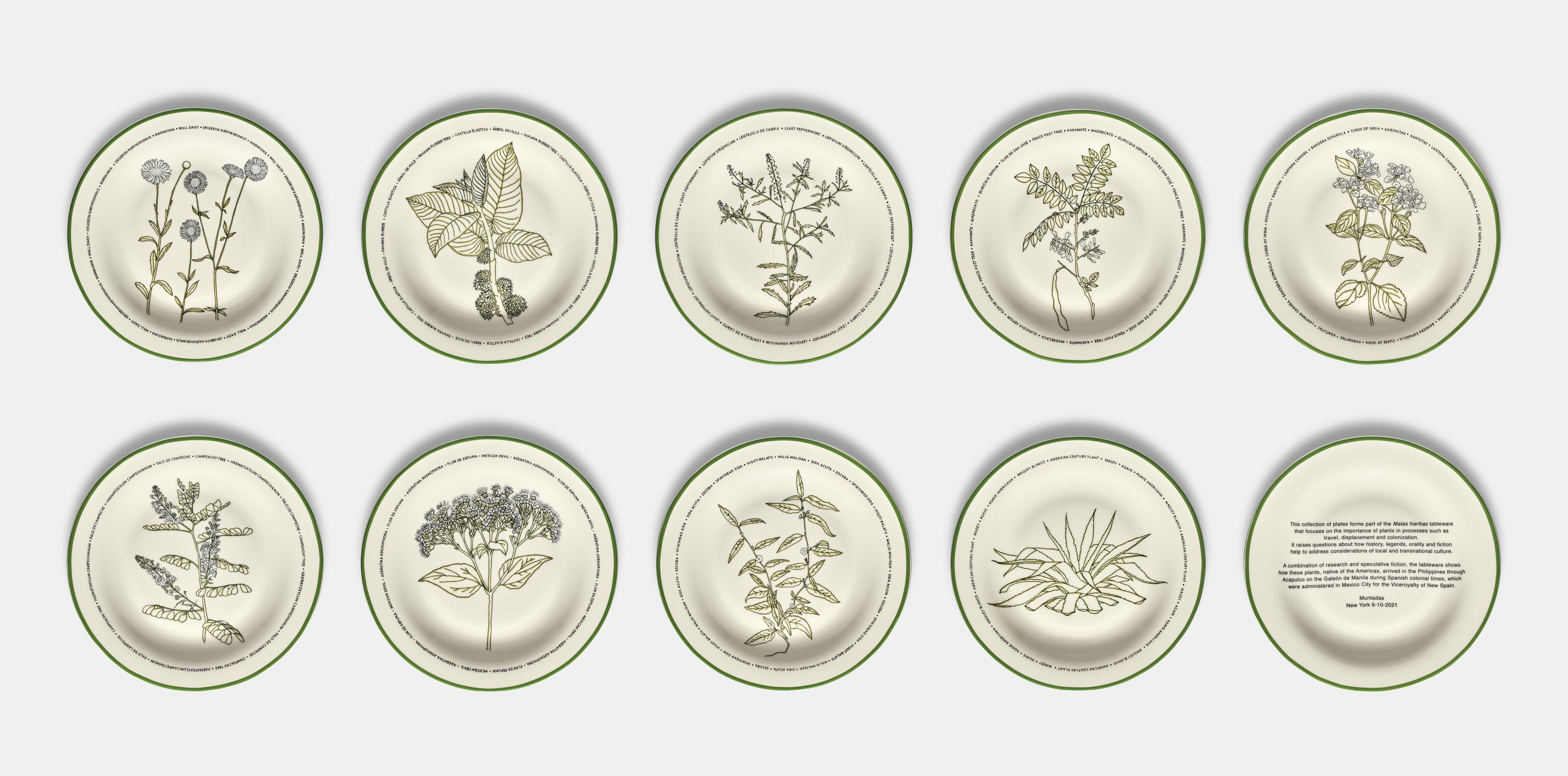 Exercises on Past and Present Memories. Malas hierbas