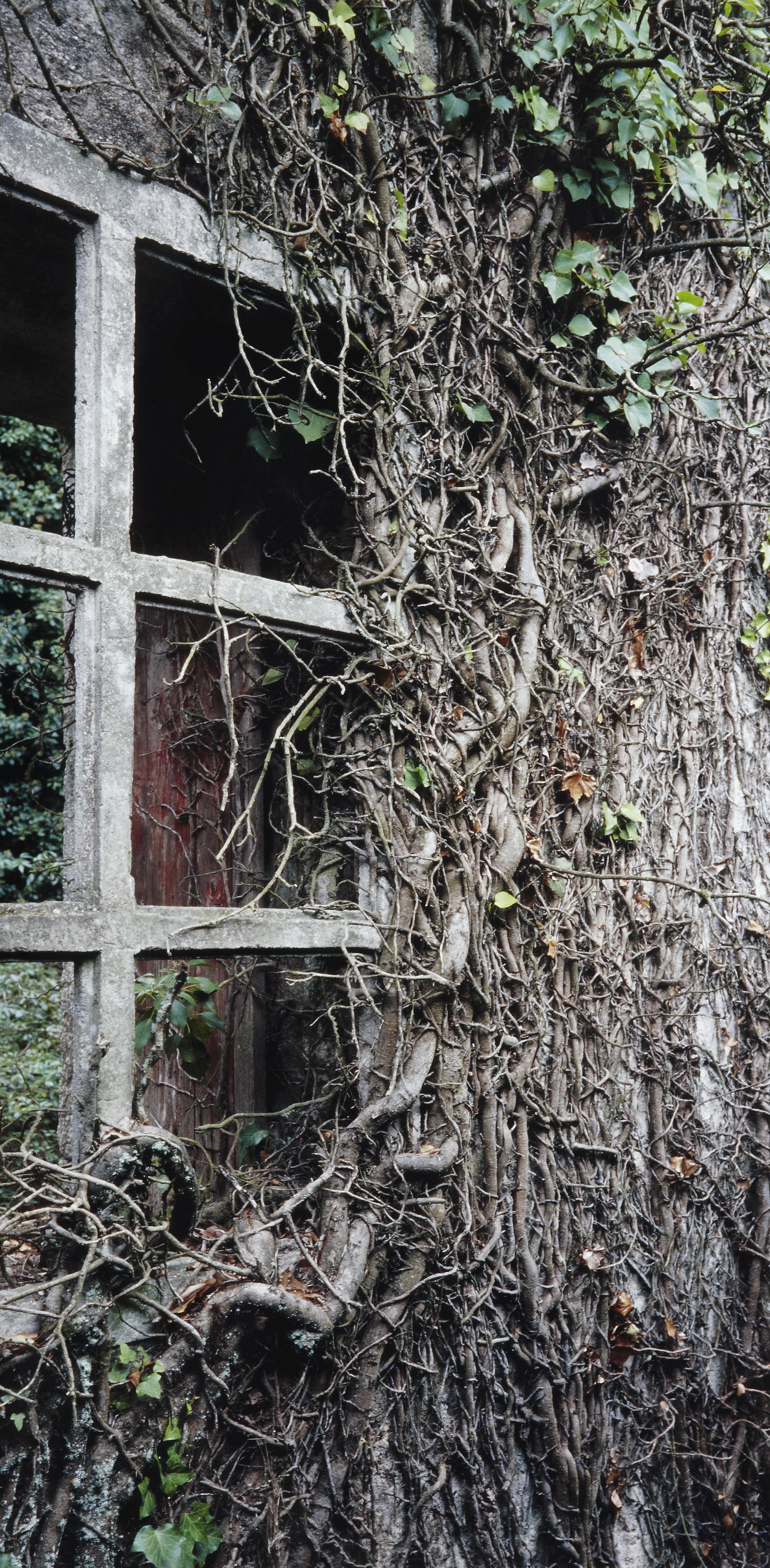 Sin título. Huella 12