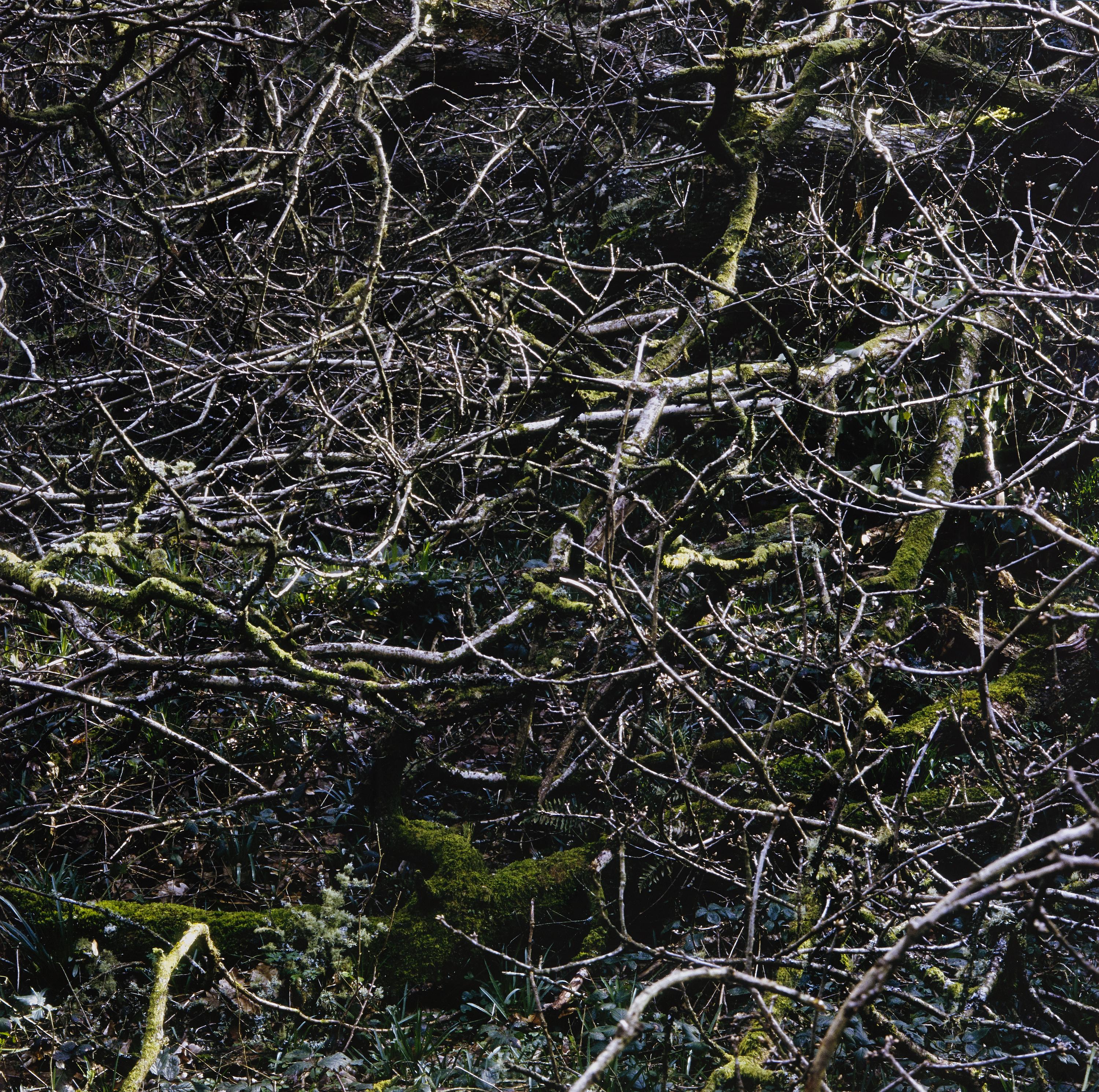 Beneath the Surface II