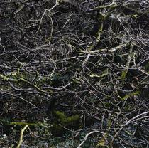 Beneath the Surface II