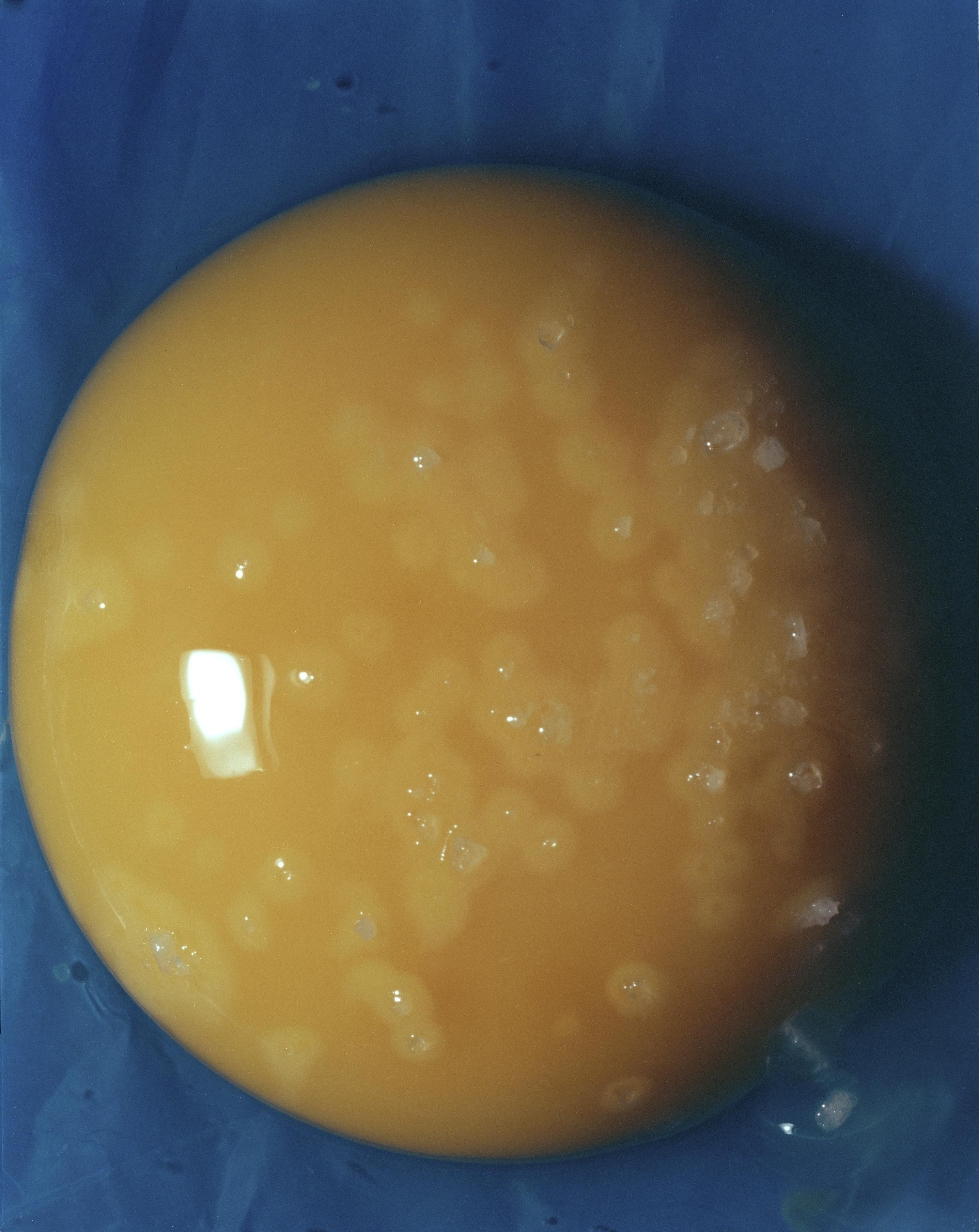 Seasoned Egg [Seasoned Egg]