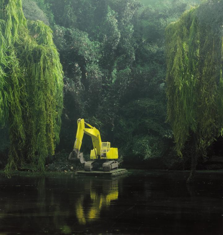 Pond