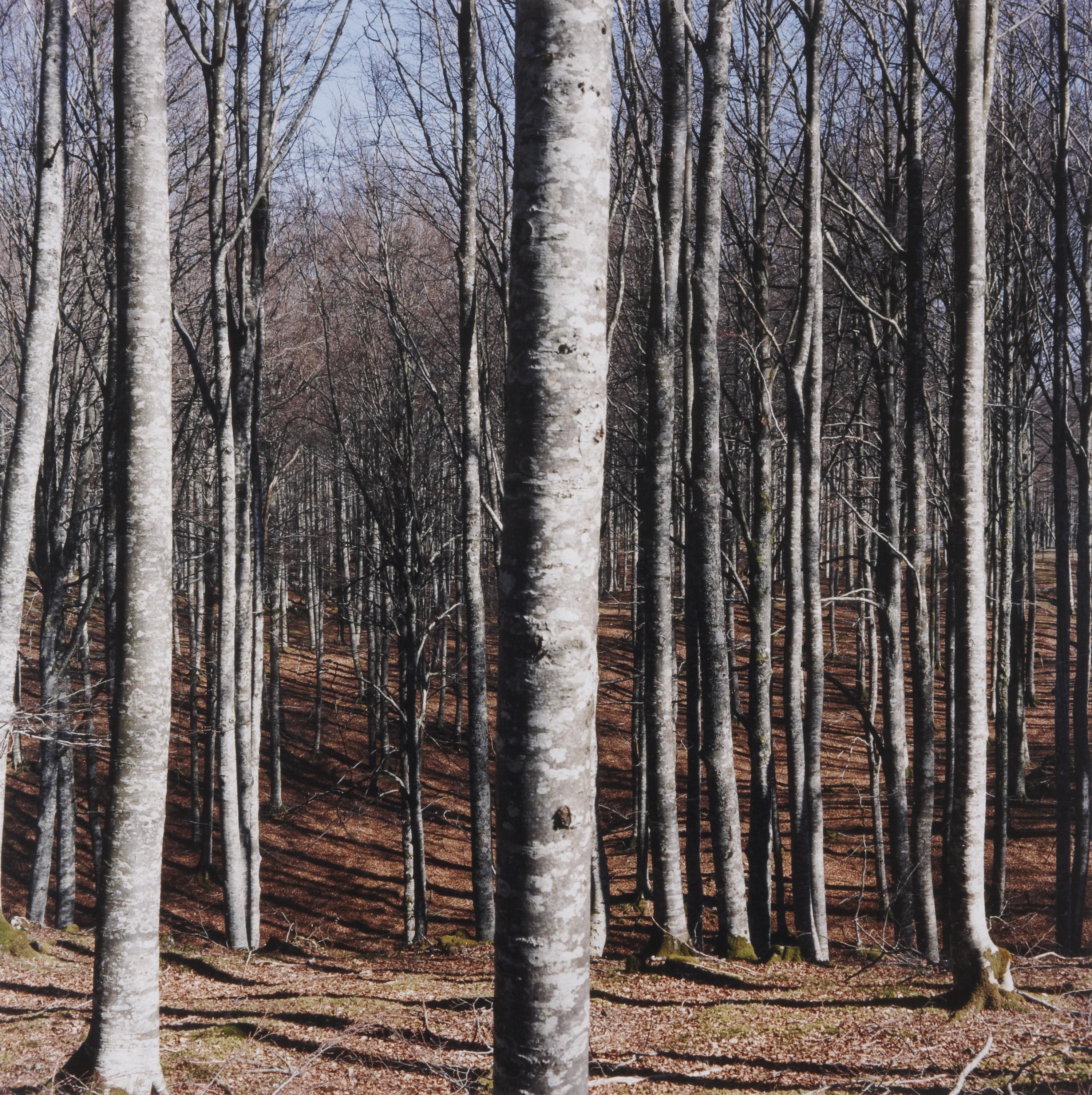 La voz humana [The Human Voice]