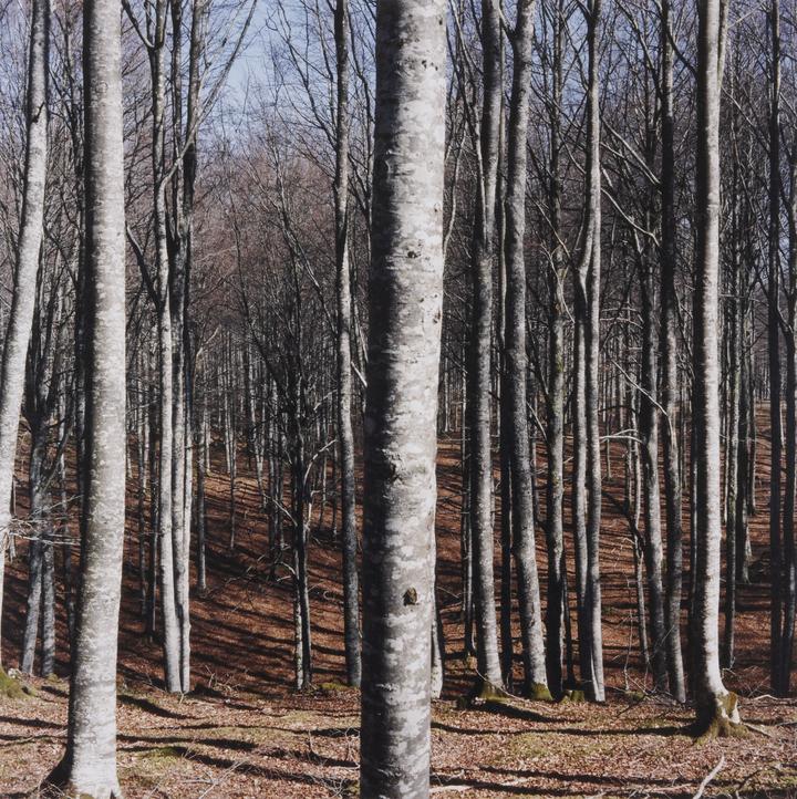 Economiasdeloresidual12