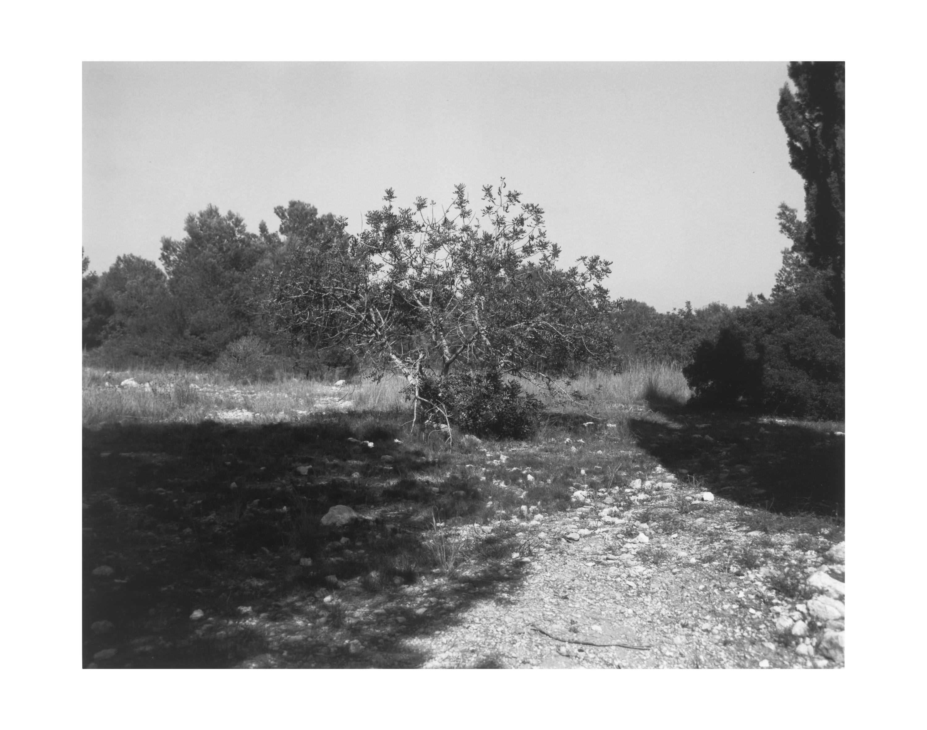 Al lado de la Torre de los Escipiones, Tarragona, 16 septiembre, 2007 [Beside Scipio's Tower, Tarragona, 16 September 2007]