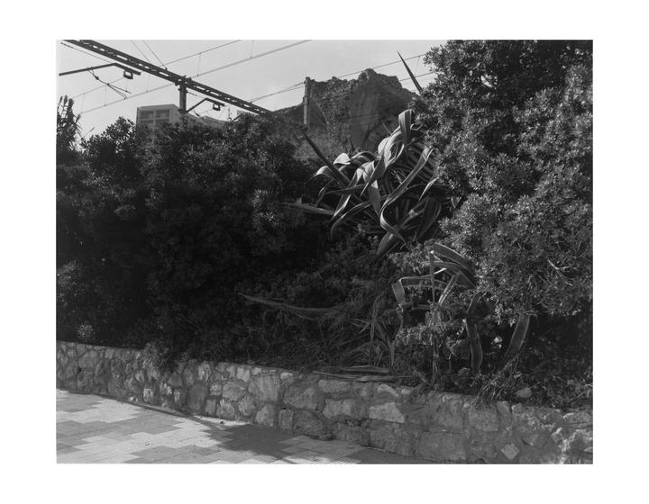 Paseo marítimo Rafael de Casanova, Tarragona, 16 septiembre, 2007