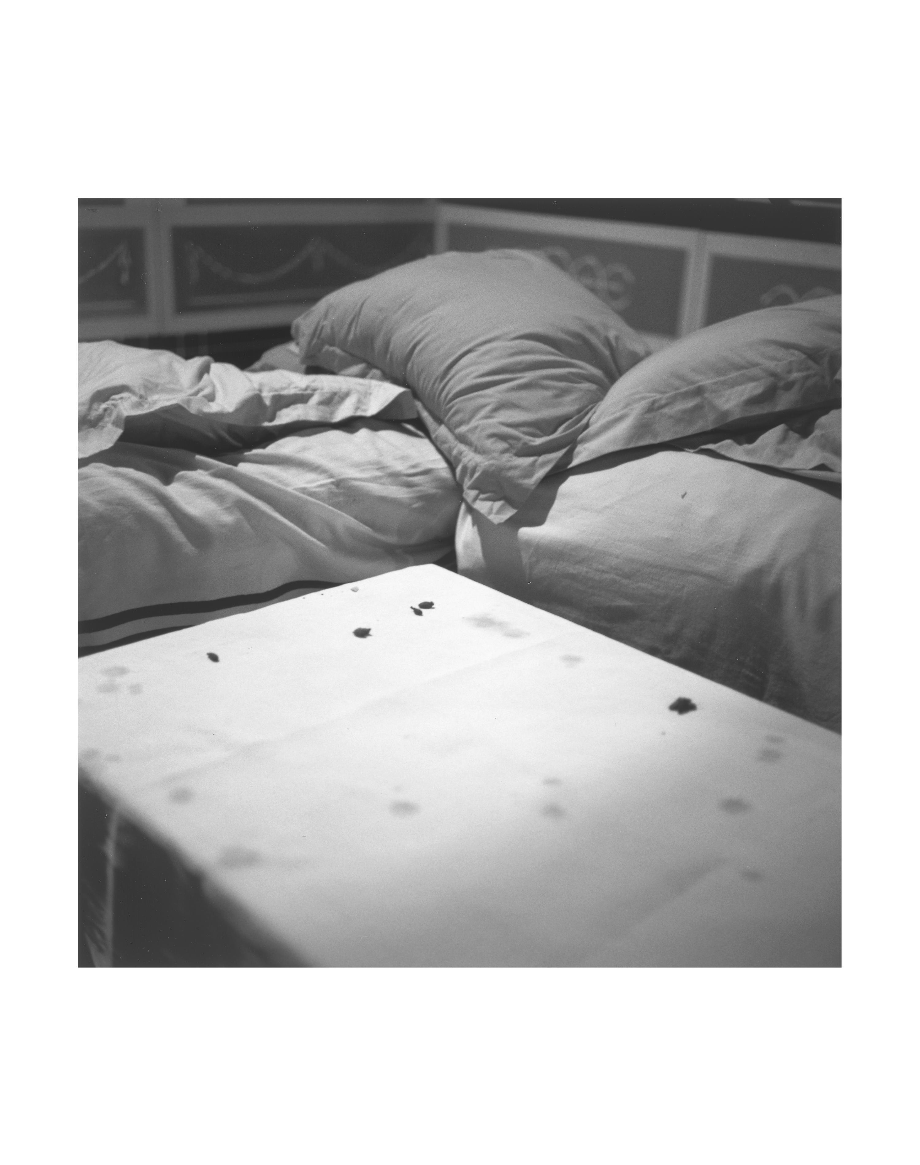 Restos, «Convivium», Associació Projecte Phoenix, Caixaforum, Barcelona, 29 septiembre, 2007 [Remains, 'Convivium', Associació Projecte Phoenix, Caixaforum, Barcelona, 29 September 2007]