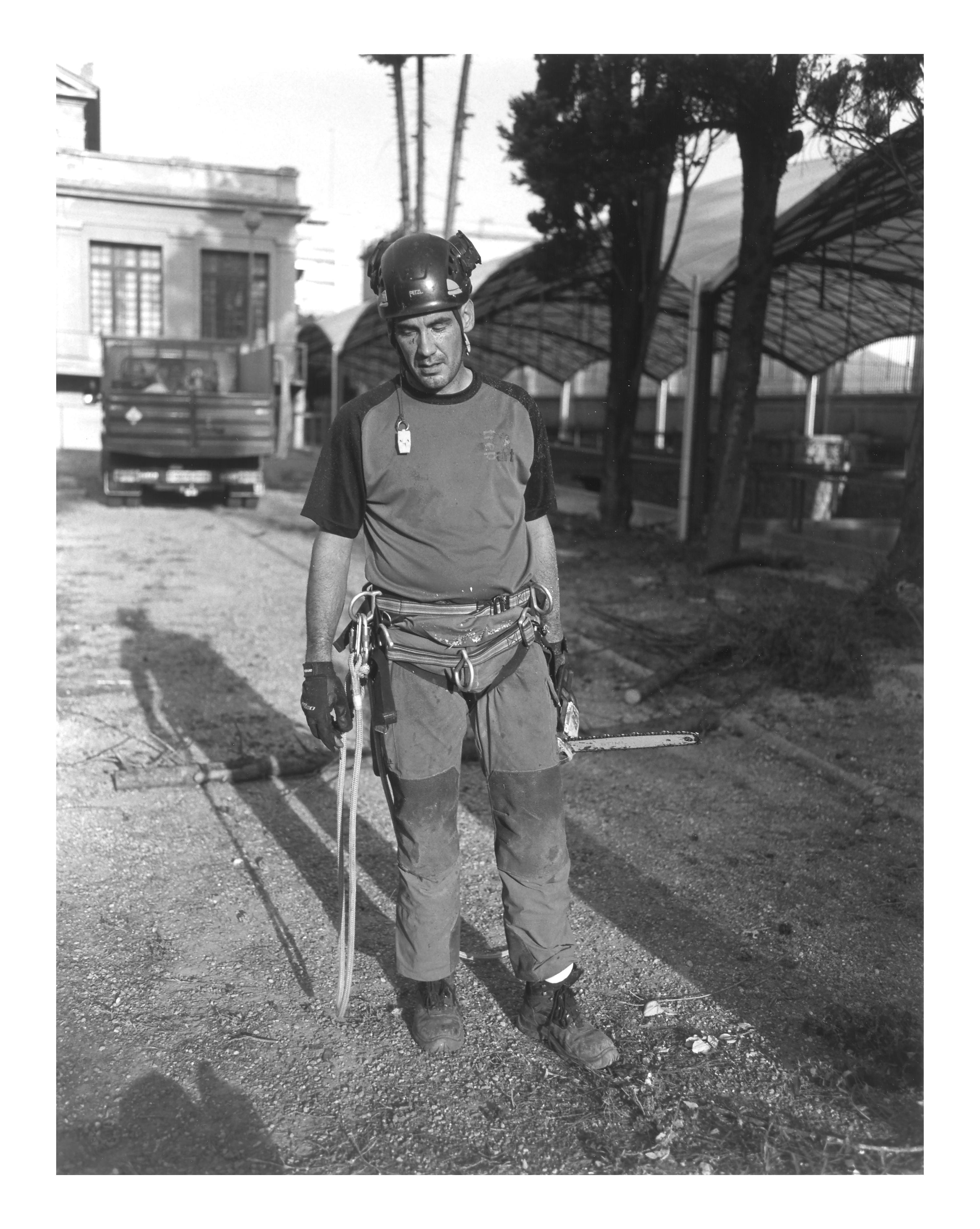 Ricard Bonell Beltran, Tree Climber, MNAT (National Archaeological Museum of Tarragona), gardens of the early Christian burial ground, Tarragona, 2 October 2007