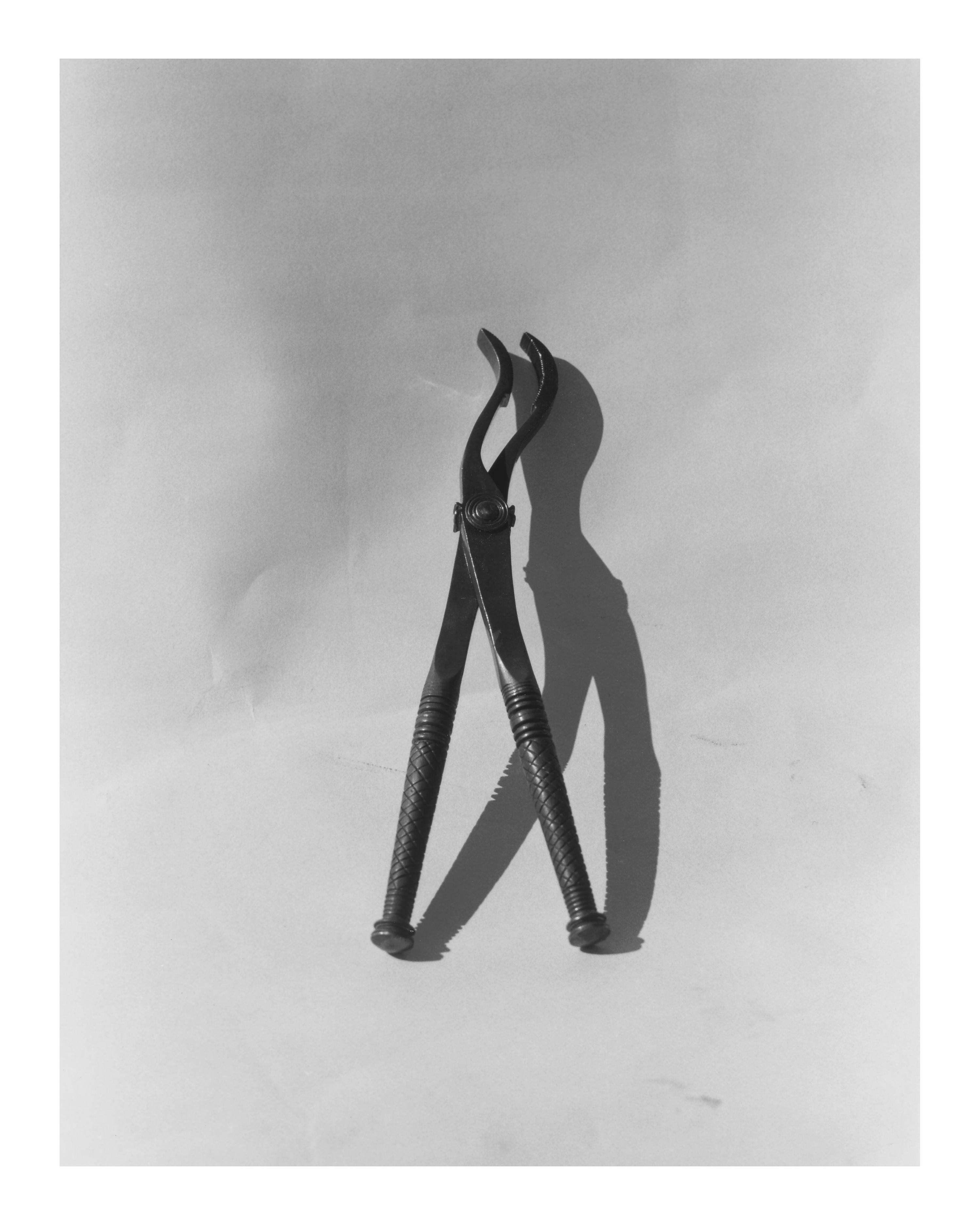 Pinzas quirúrgicas (reconstrucción), Projecte Phoenix, Riera de Gaià, 6 octubre, 2007 [Surgical Clamps (Reconstruction), Projecte Phoenix, Riera de Gaià, 6 October 2007]