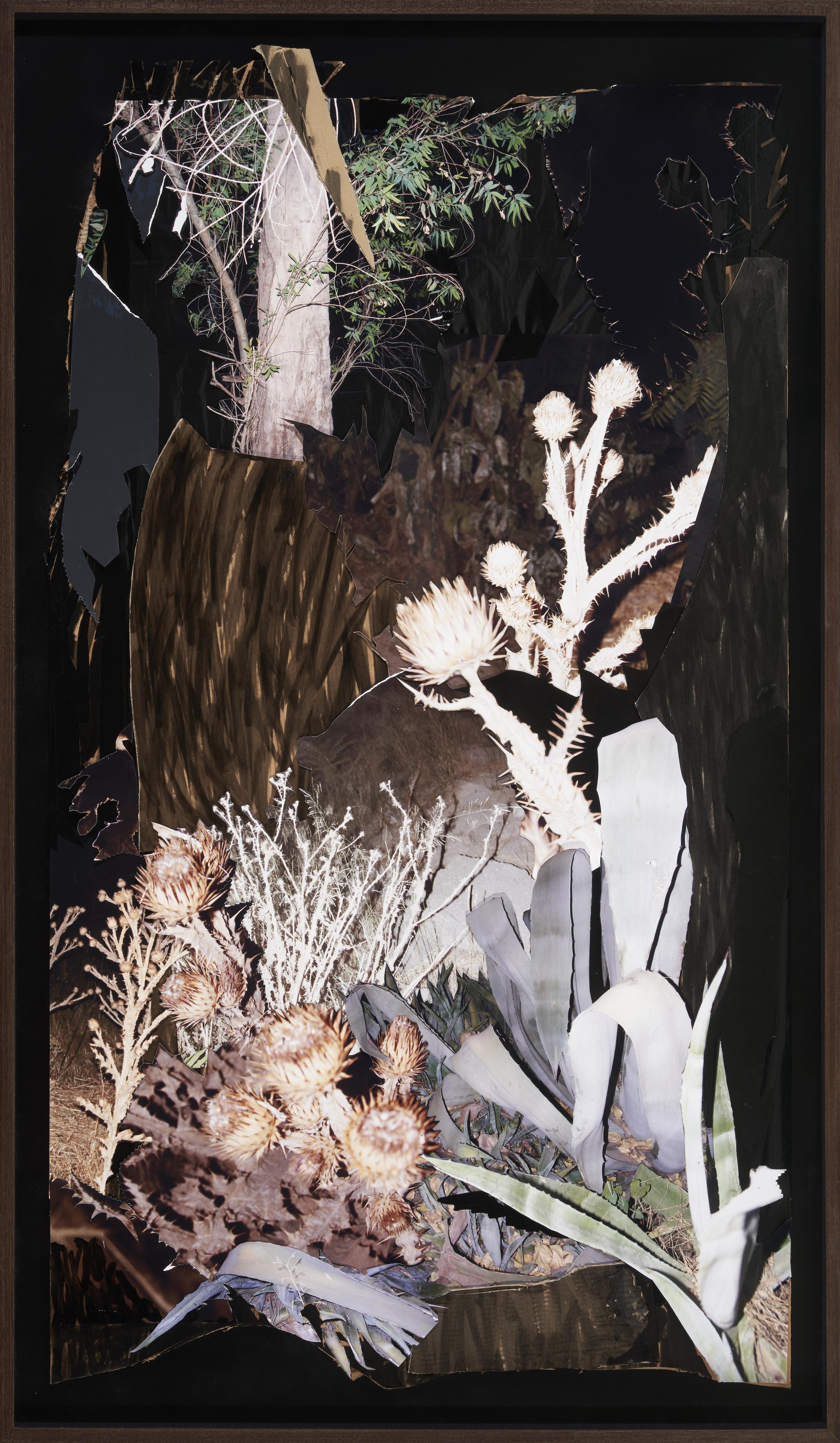 Sin título (la noche en balde) [Untitled (The Night in Vain)]