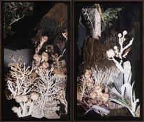 Sin título (la noche en balde) [Untitled (The Night in Vain)]