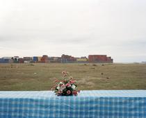 Sin Título (Flores). De la serie Domingos [Untitled (Flowers). From the series 'Sundays']