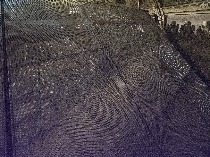 Adaro: un estudio de caso [Adaro: case study]