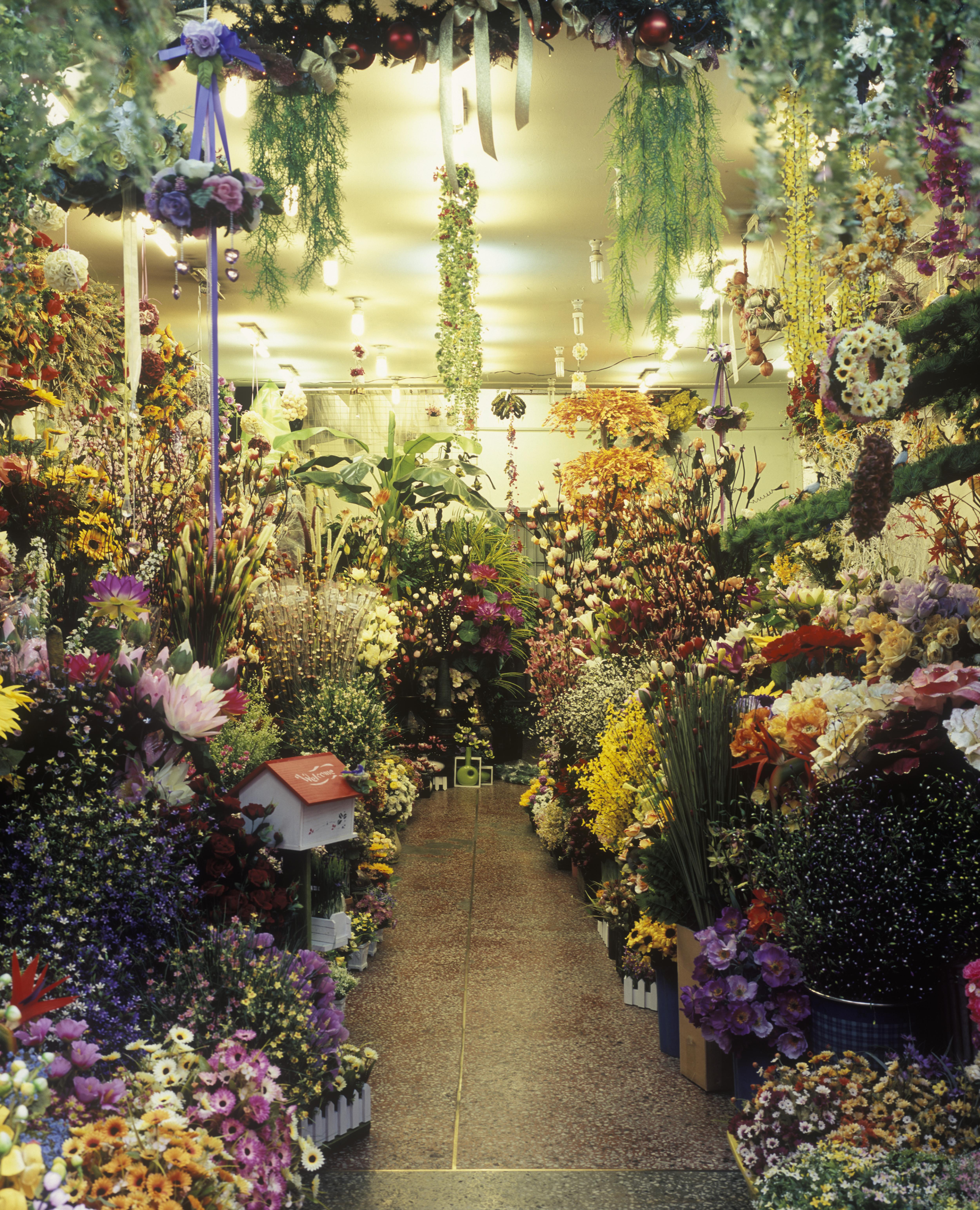 Busan02 de la serie Paraísos Artificiales [Busan02, Series Artificial Paradises]