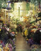 Busan02 de la serie Paraísos Artificiales [Busan02, Series Artificial Paradises]