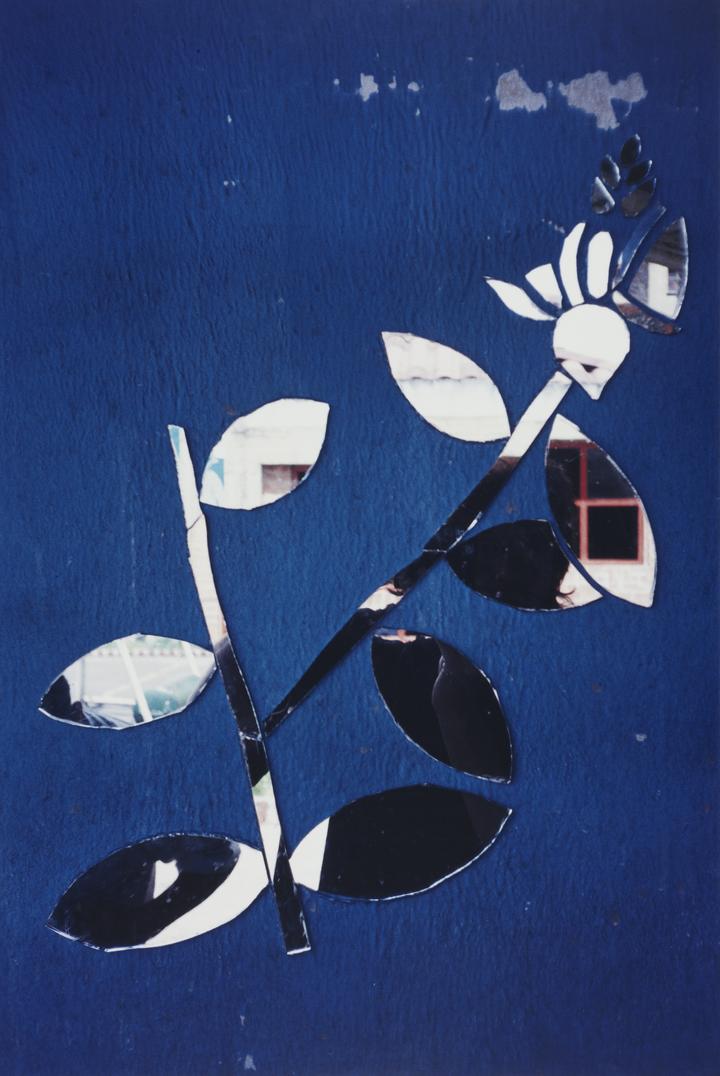 Sin título [Untitled]