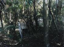Eames House (Case Study #8)