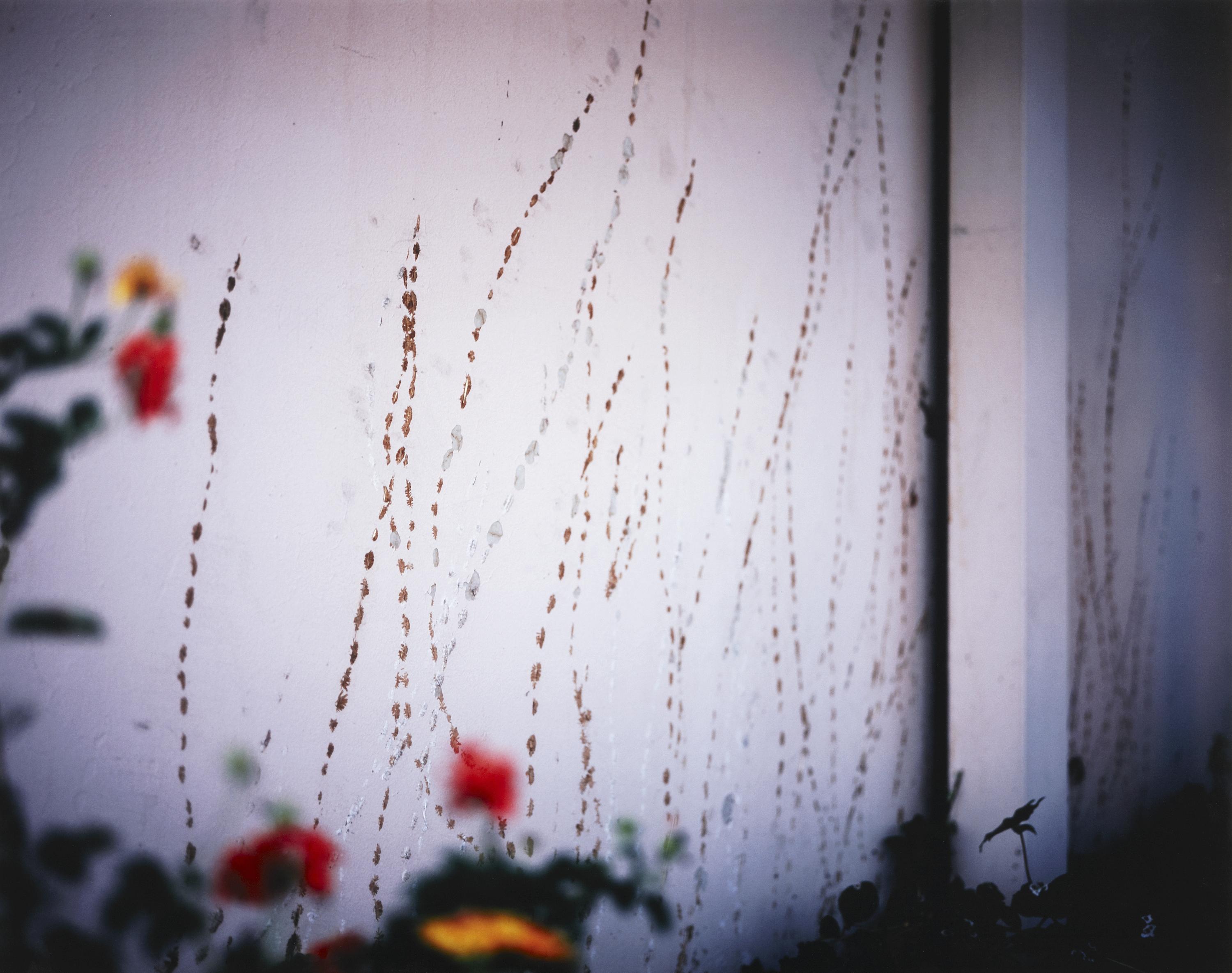 Wall (La Ville Basque, Vernon, California)