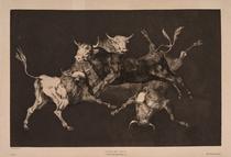 Disparate de toritos / Lluvia de toros [Folly of Little Bulls / Rain of Bulls]