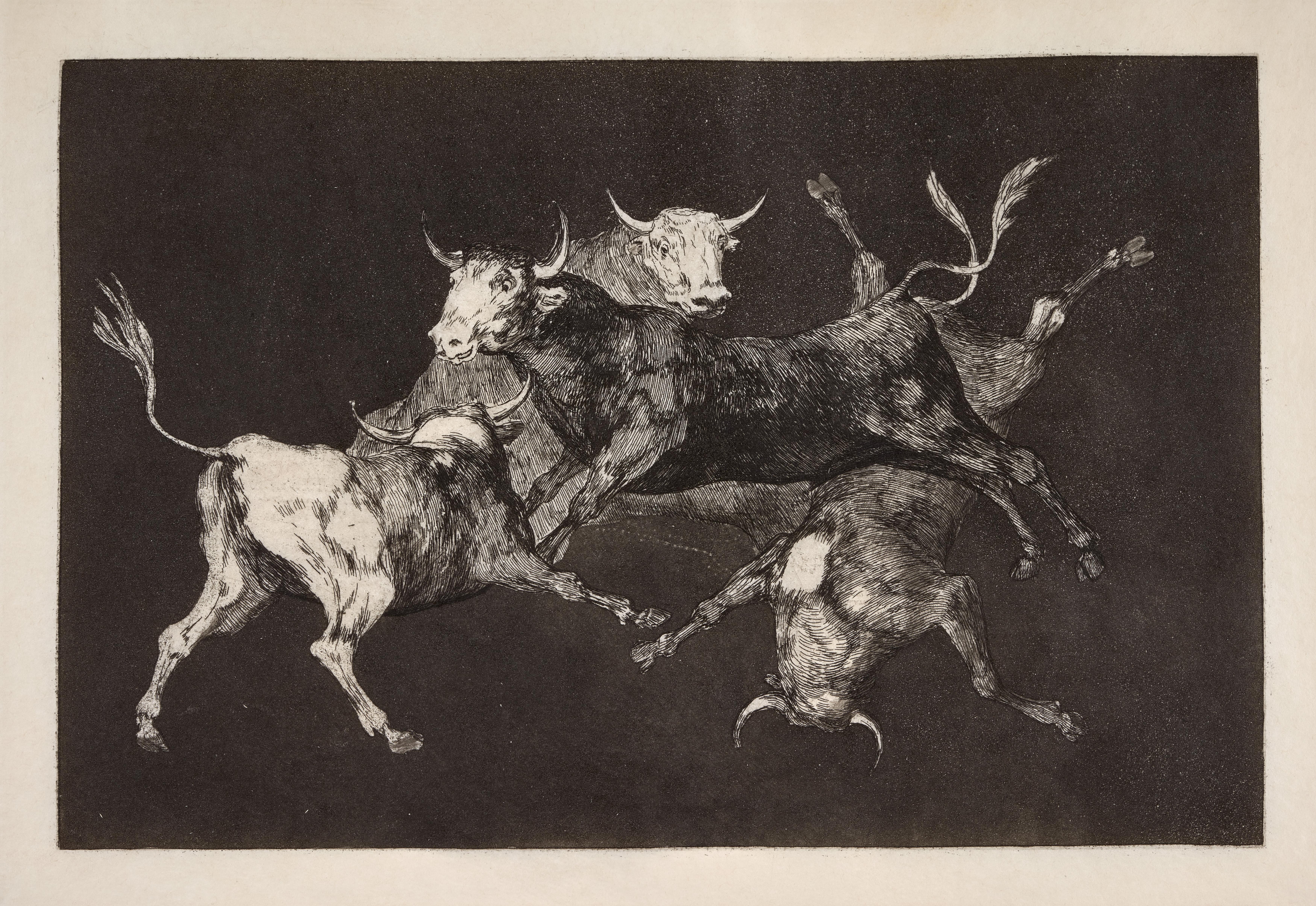 Disparate de toritos / Lluvia de toros [Folly of Little Bulls / Rain of Bulls]