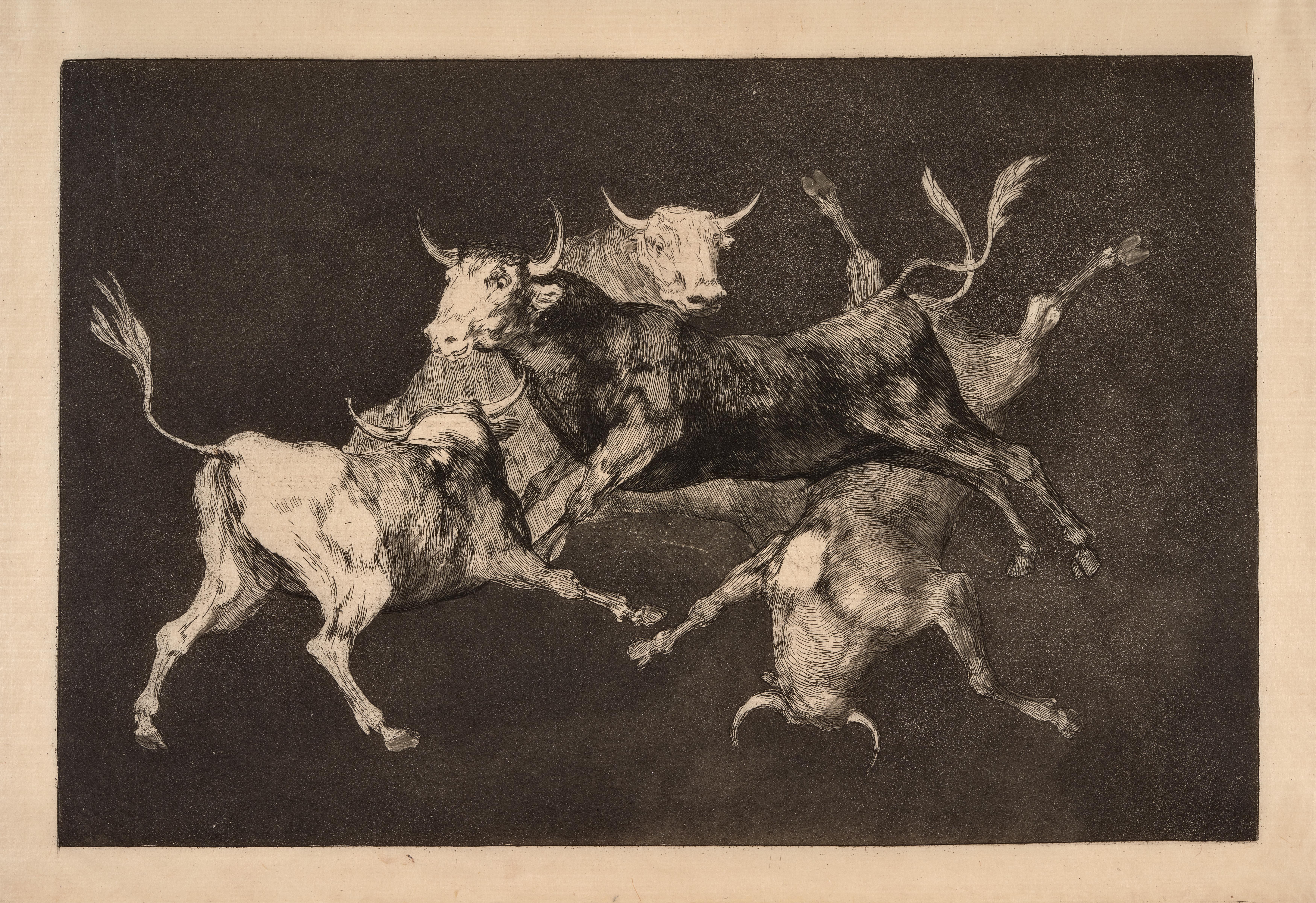 Disparate de toritos / Lluvia de toros [Folly of Little Bulls / Rain of Bulls]