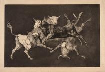 Disparate de toritos / Lluvia de toros [Folly of Little Bulls / Rain of Bulls]
