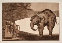 Disparate de bestia / Otras leyes para el pueblo [Animal Folly / Other Laws for the People]