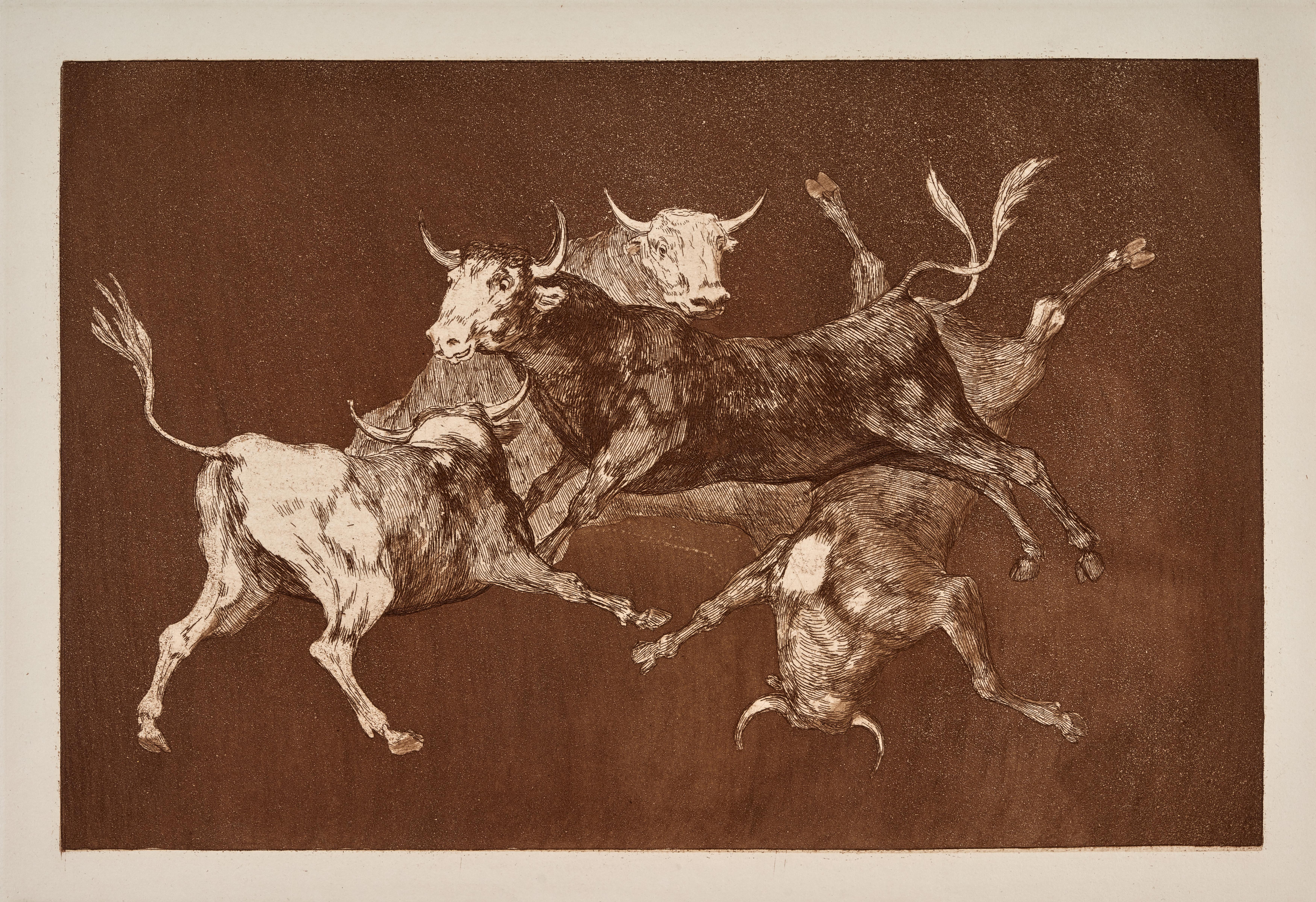 Disparate de toritos / Lluvia de toros [Folly of Little Bulls / Rain of Bulls]