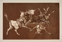Disparate de toritos / Lluvia de toros [Folly of Little Bulls / Rain of Bulls]