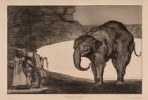 Disparate de bestia / Otras leyes para el pueblo [Animal Folly / Other Laws for the People]