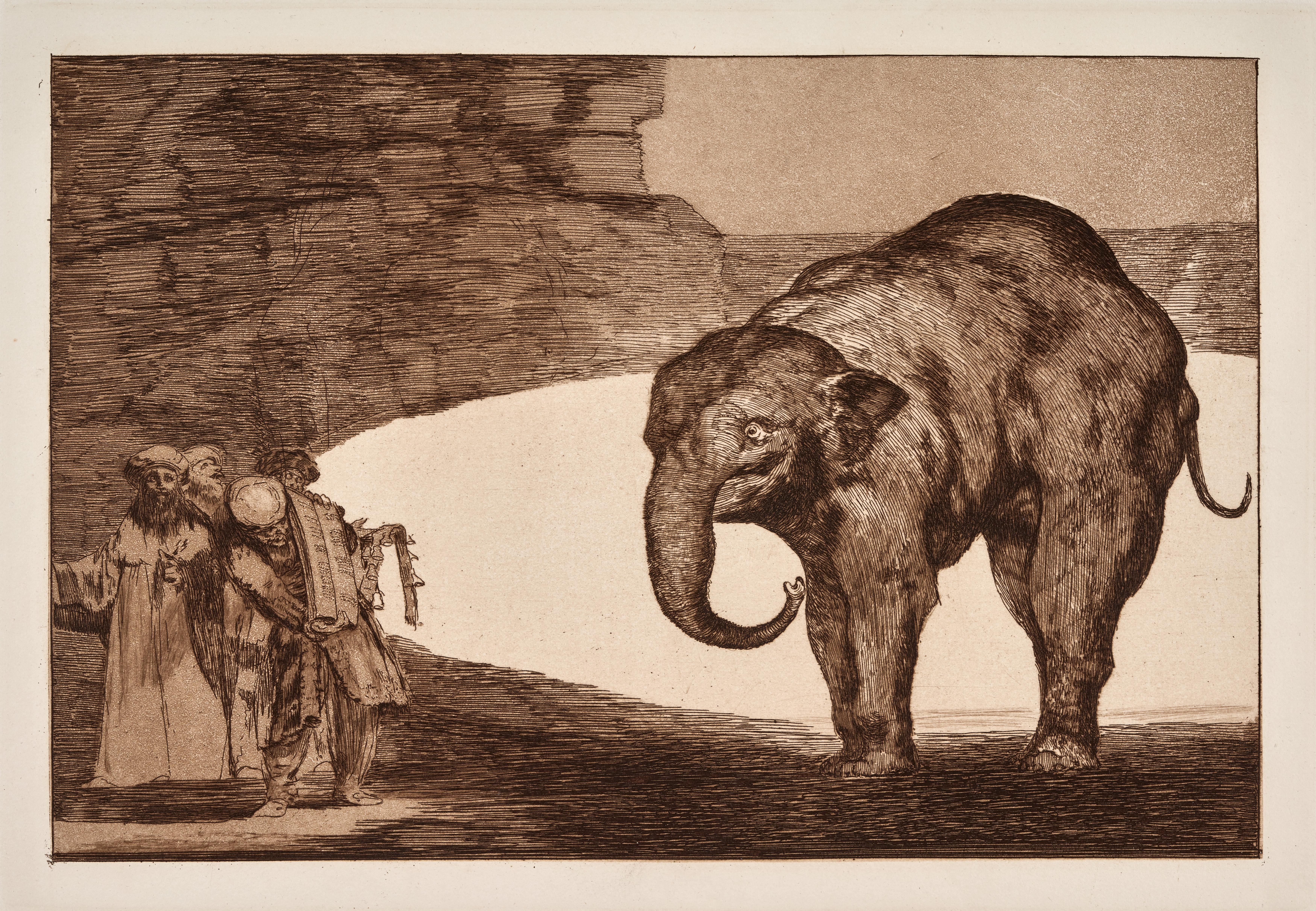 Disparates [Follies]